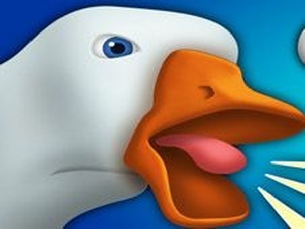 Goose Farm Adventure