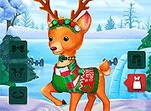 Santa Christmas Care Adventure